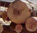 bois de construction, bois de charpente, Madriers, Bastaings, Pannes, Demi-Madriers, Demi-bastaings, Chevrons, Liteaux, Plateaux Maçons