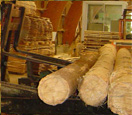 bois de construction, Madriers, Bastaings, Pannes, Demi-Madriers, Lambourdes, Liteaux, Plateaux Maçons
